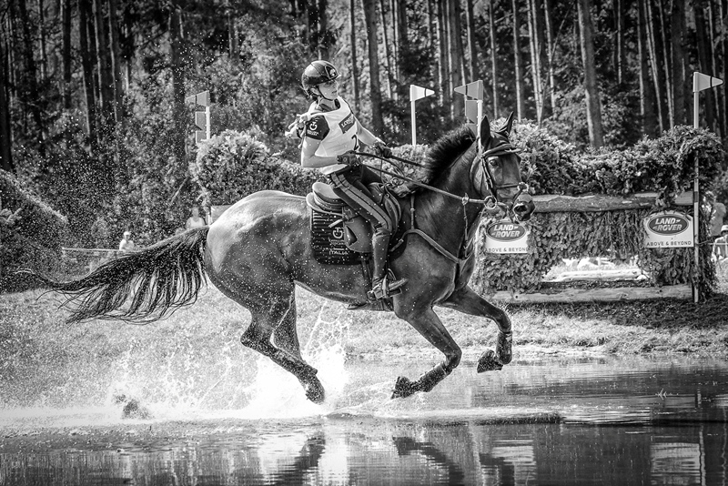 Federazione Italiana Sport Equestri - Federazione Italiana Sport Equestri -  Results from #5080