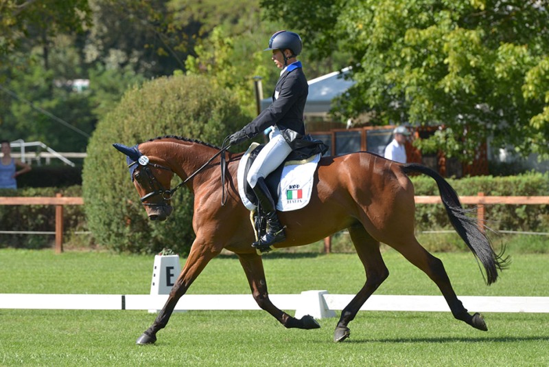 MAJOLINO Pietro Dressage Argenziano