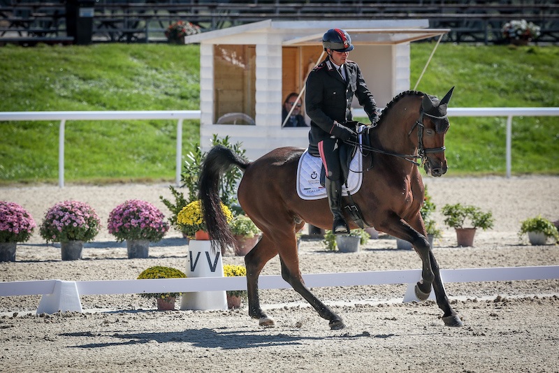 Mattia Luciani Leopold K dressage Argenziano