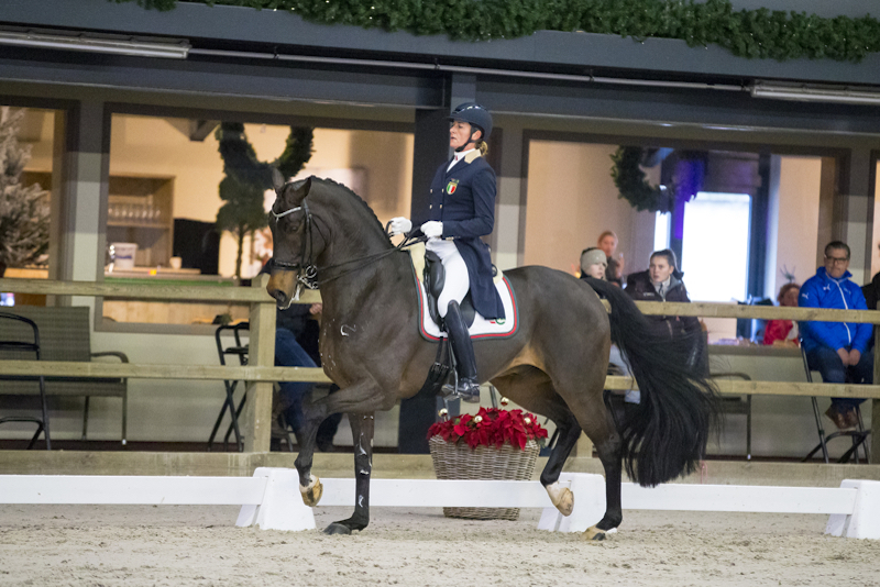 Paoli N Equitago Zandor