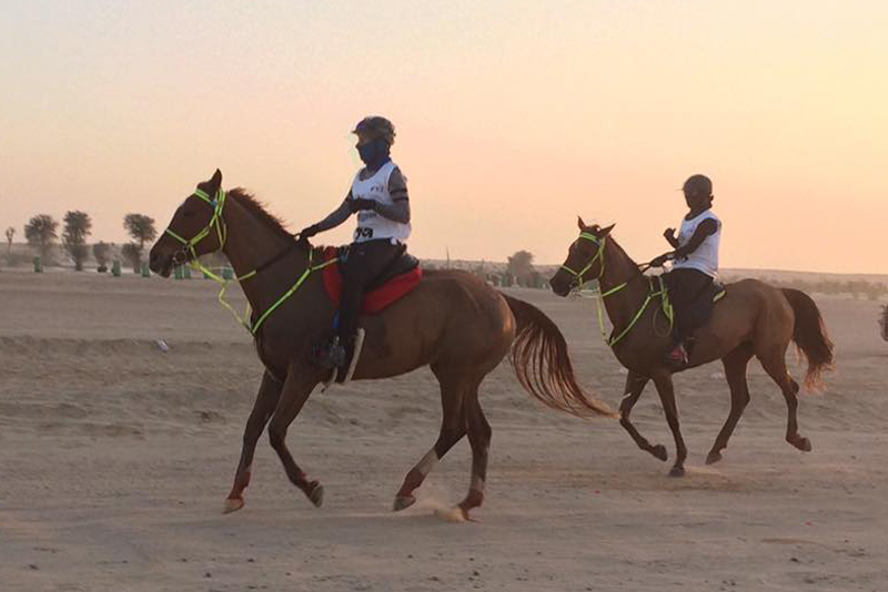 Endurance deserto Galantino Giulia