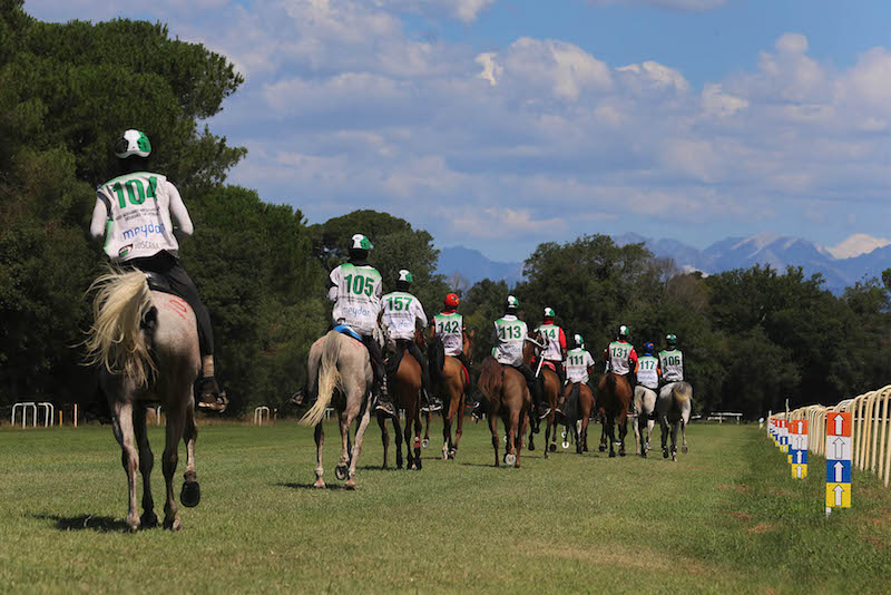 Endurance toscana generica