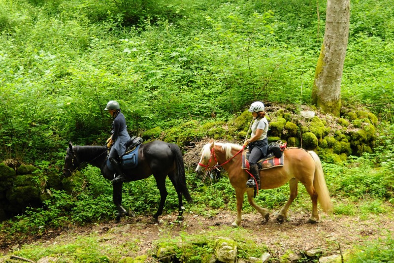 Equitazione Campagna Conforti 2