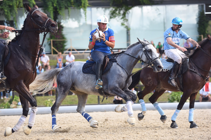 Fausto Sforza horse ball