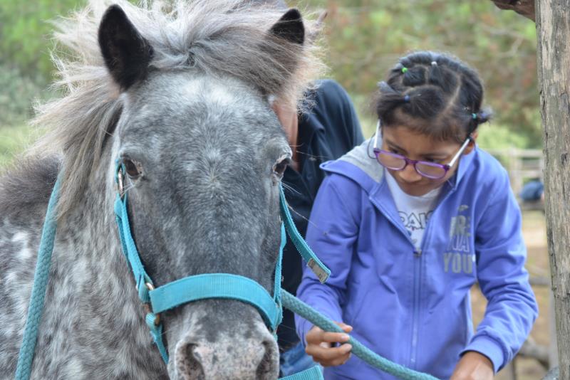 Interventi Assistiti Cavallo