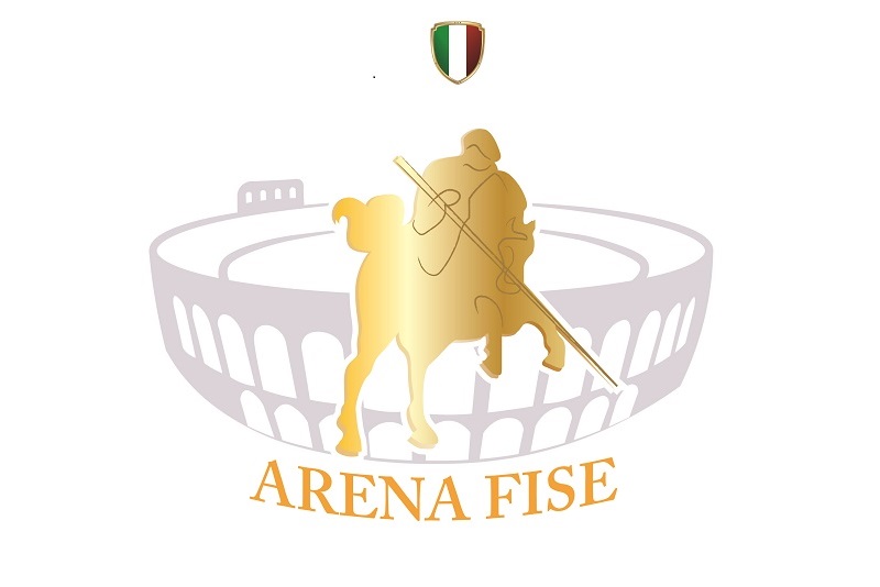 Arena FISEbianco ottimizzato