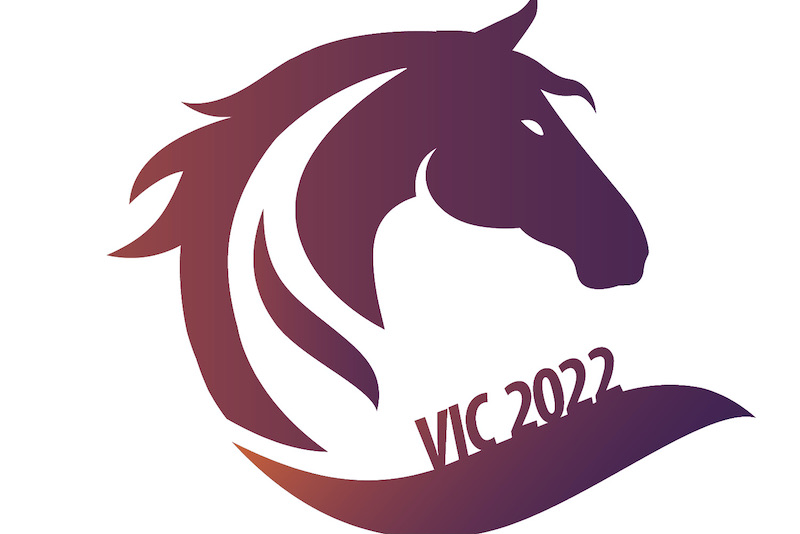 Logo VIC Endurance 22