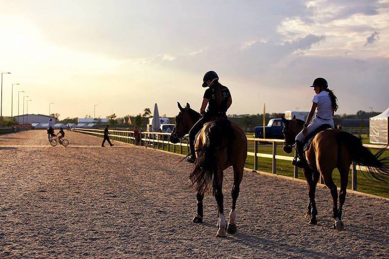 800px x 534px - Federazione Italiana Sport Equestri - Federazione Italiana Sport Equestri -  Results from #4240