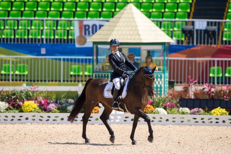 SALVADE stroud Rio