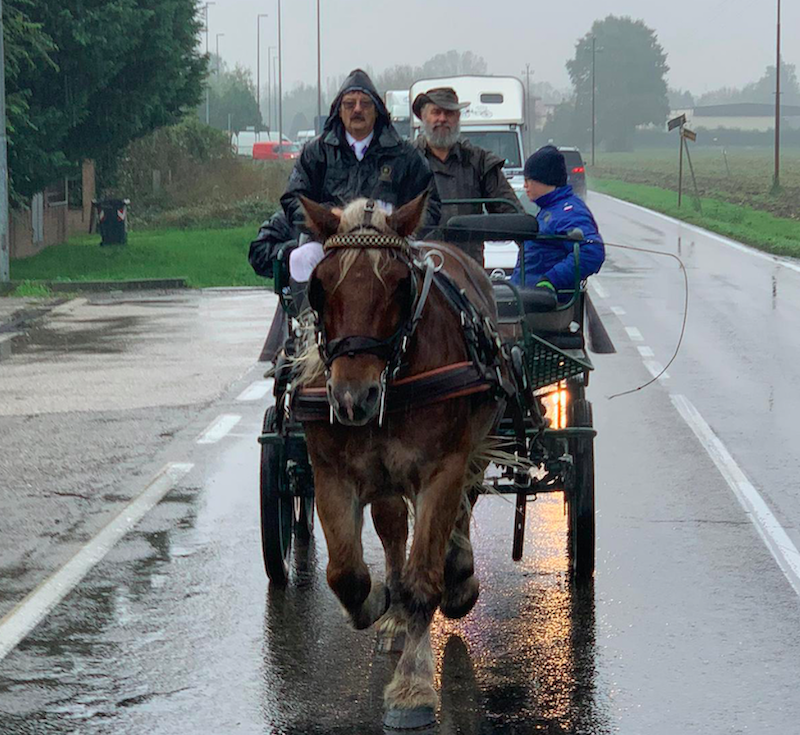 Paradriving Modena