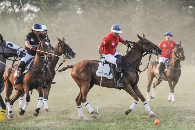 Arena Polo Felcino