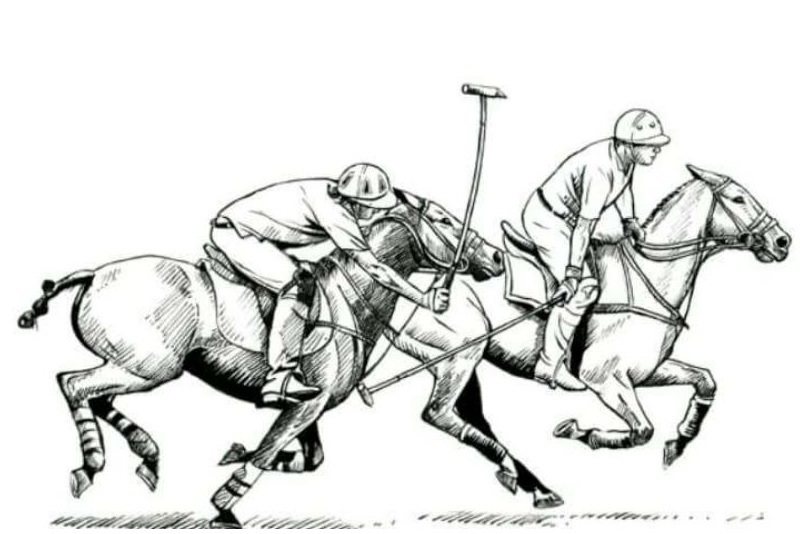 Disegno Polo Los Avellanos