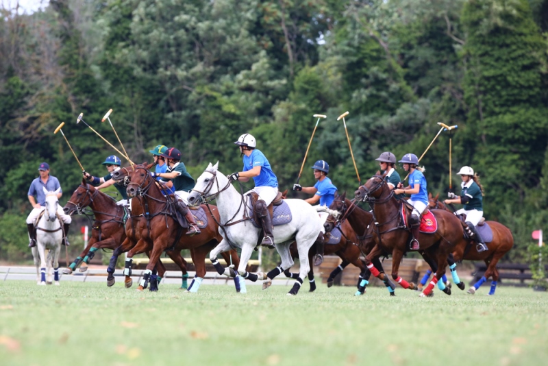 Polo Ponyadi Villanti