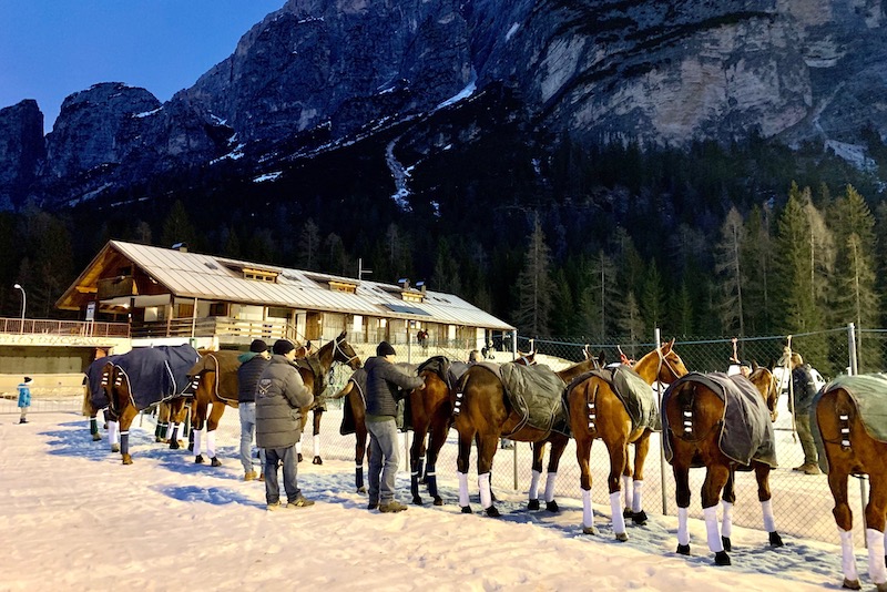 Polo on snow 2