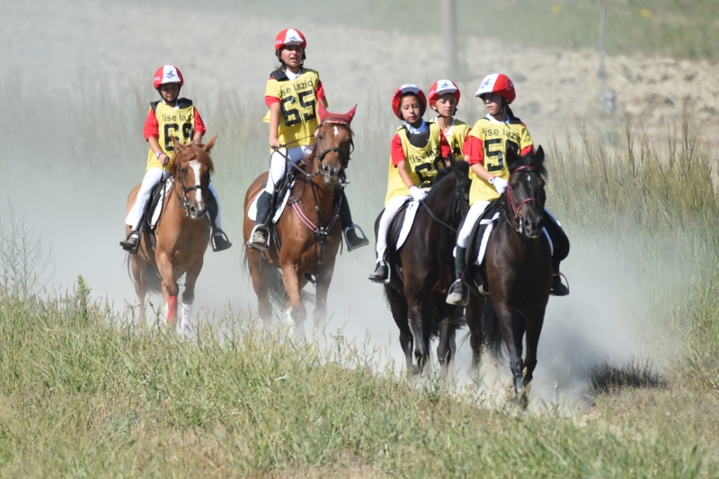 ENDURANCE PONY