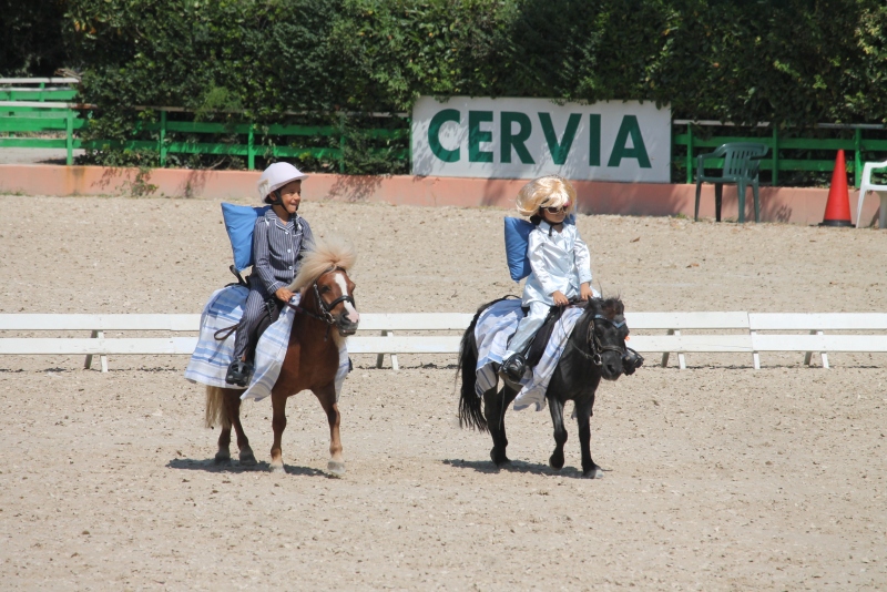 Carosello Cervia 2020