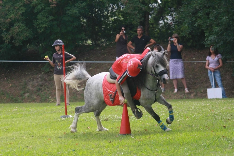 Cervia Pony Games