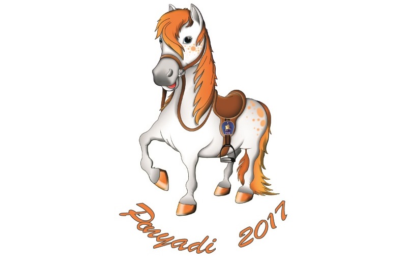 Tony Il Pony Ponyadi 2017