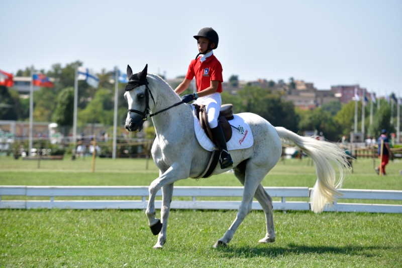 Dressage Ponyadi Villanti