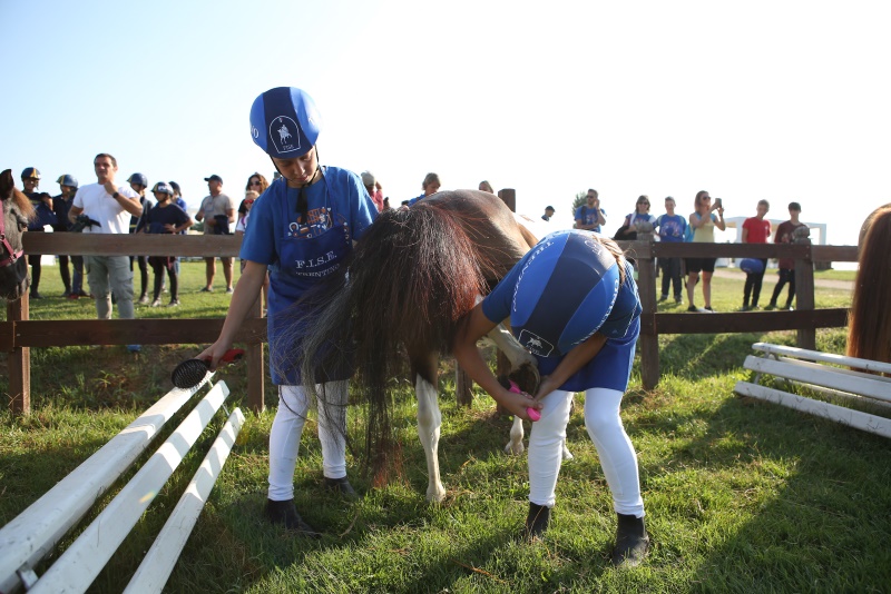 Pony Presentazione