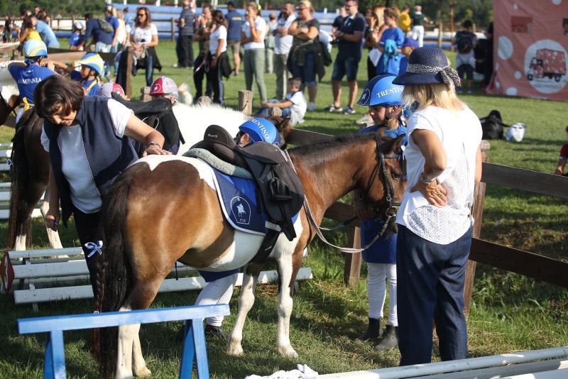 Ponyadi Presentazione