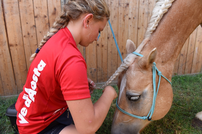 Generica Pony Trecce Lo Pinto