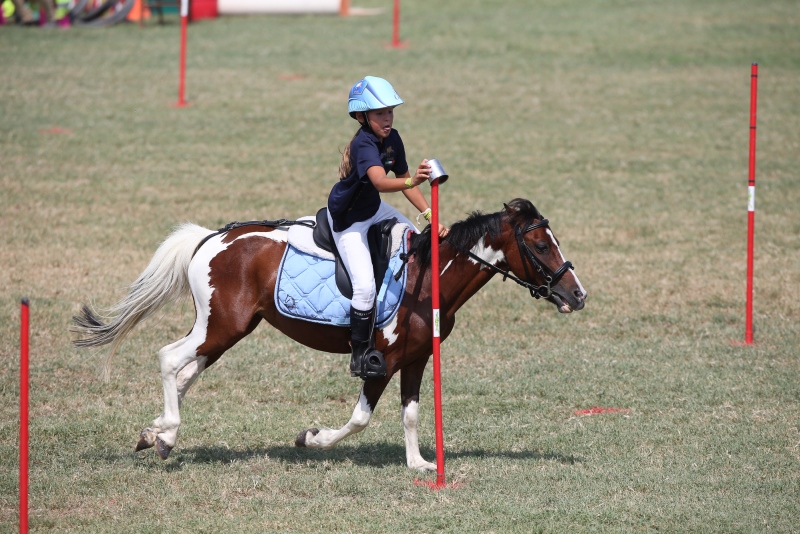 Pony Games Marco Villanti