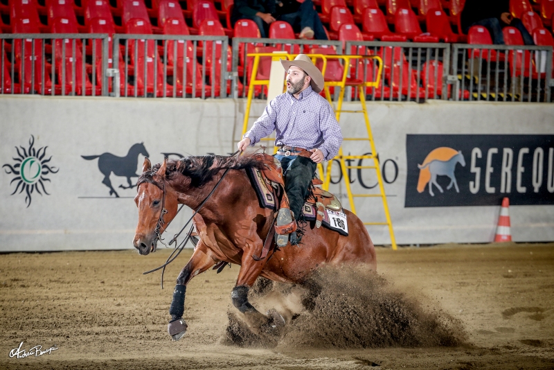 NOVICE HORSE OPEN MORENO SACCHI CONQUISTADOR MONEY Bonaga