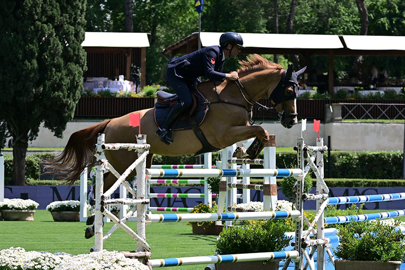 BICOCCHI SEVILLANA SASSO