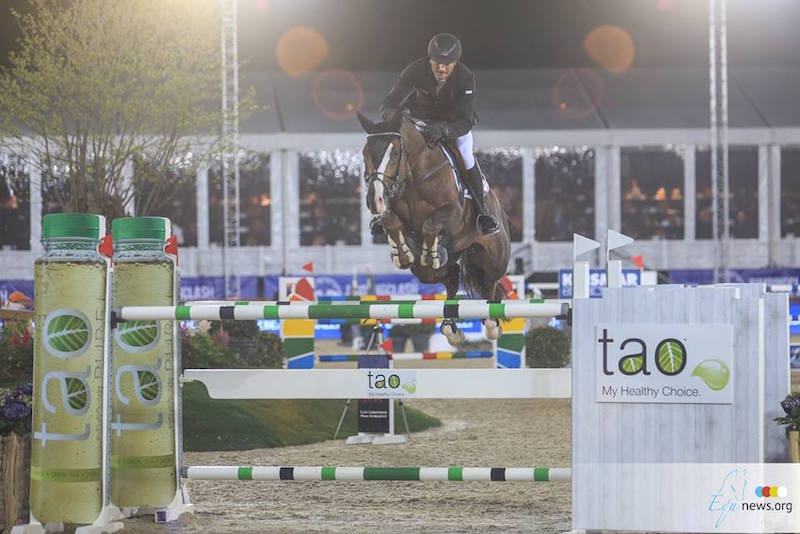 Bucci casallo JumpingAntwerpen