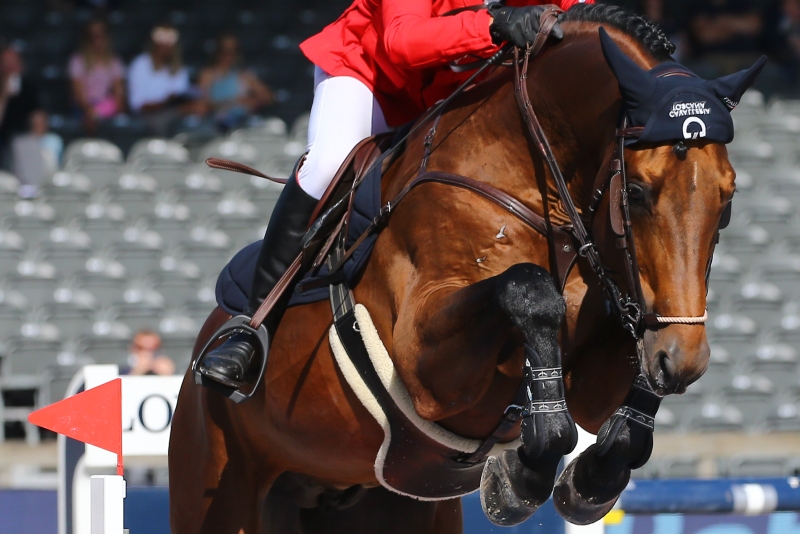 Fédération Italienne des Sports Equestres – Azzurri au CSI5*-W de Madrid.  D’autres couples s’affrontent en Belgique, en France et aux Pays-Bas