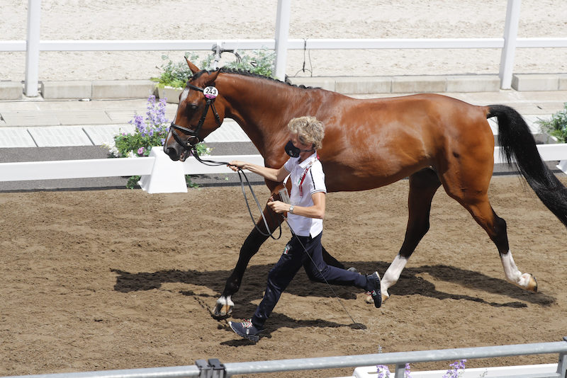 Bordone imperial grasso