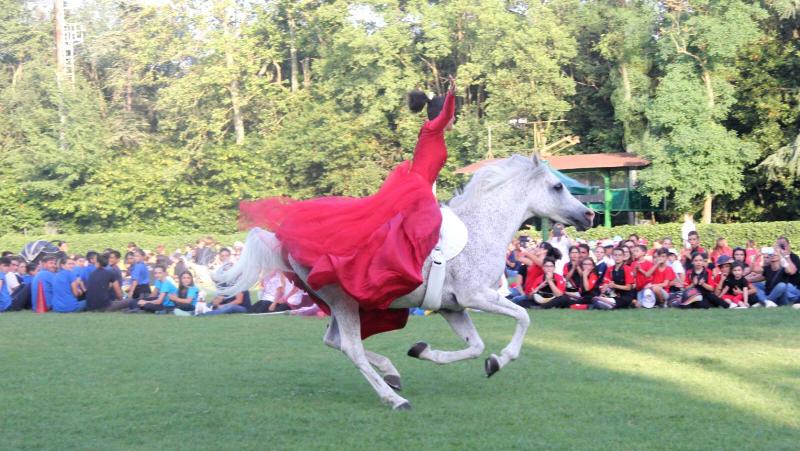 Cervia Campionati Pony Club e MGI