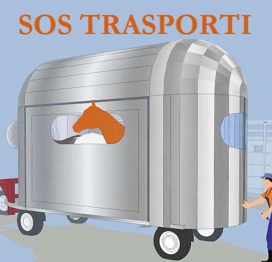 SOS TRASPORTI