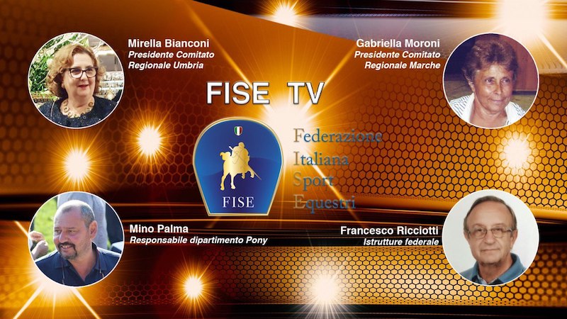 FiseTv pony