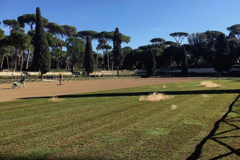 PiazzaSiena verde17 2