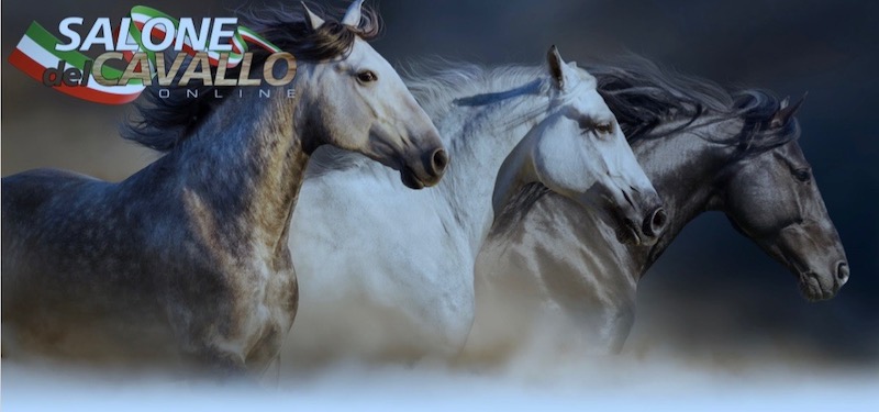 Salone del cavallonline