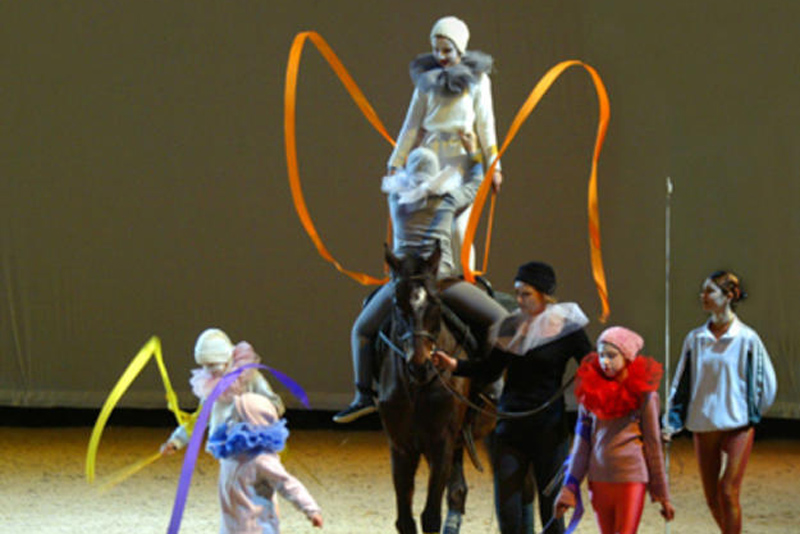 Spectacle Equestre de club FFE