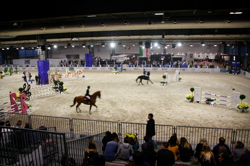 panoramica arena fise