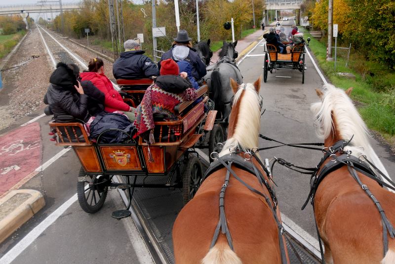 Paradriving in viaggio Verona