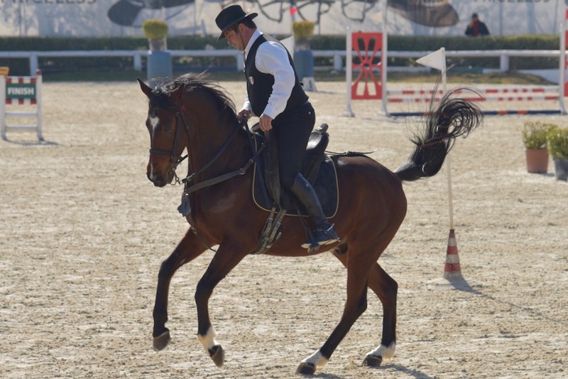 Working equitation 2