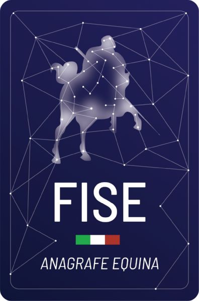 Piazza di Siena 2021