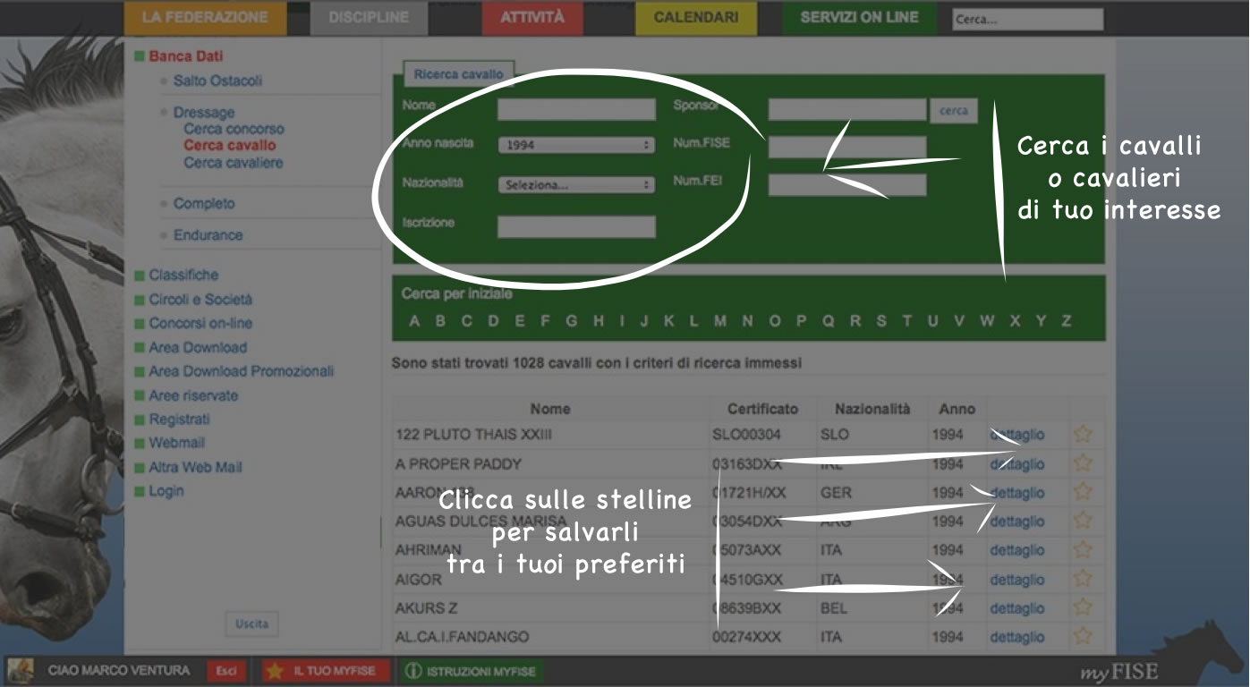miocavallo