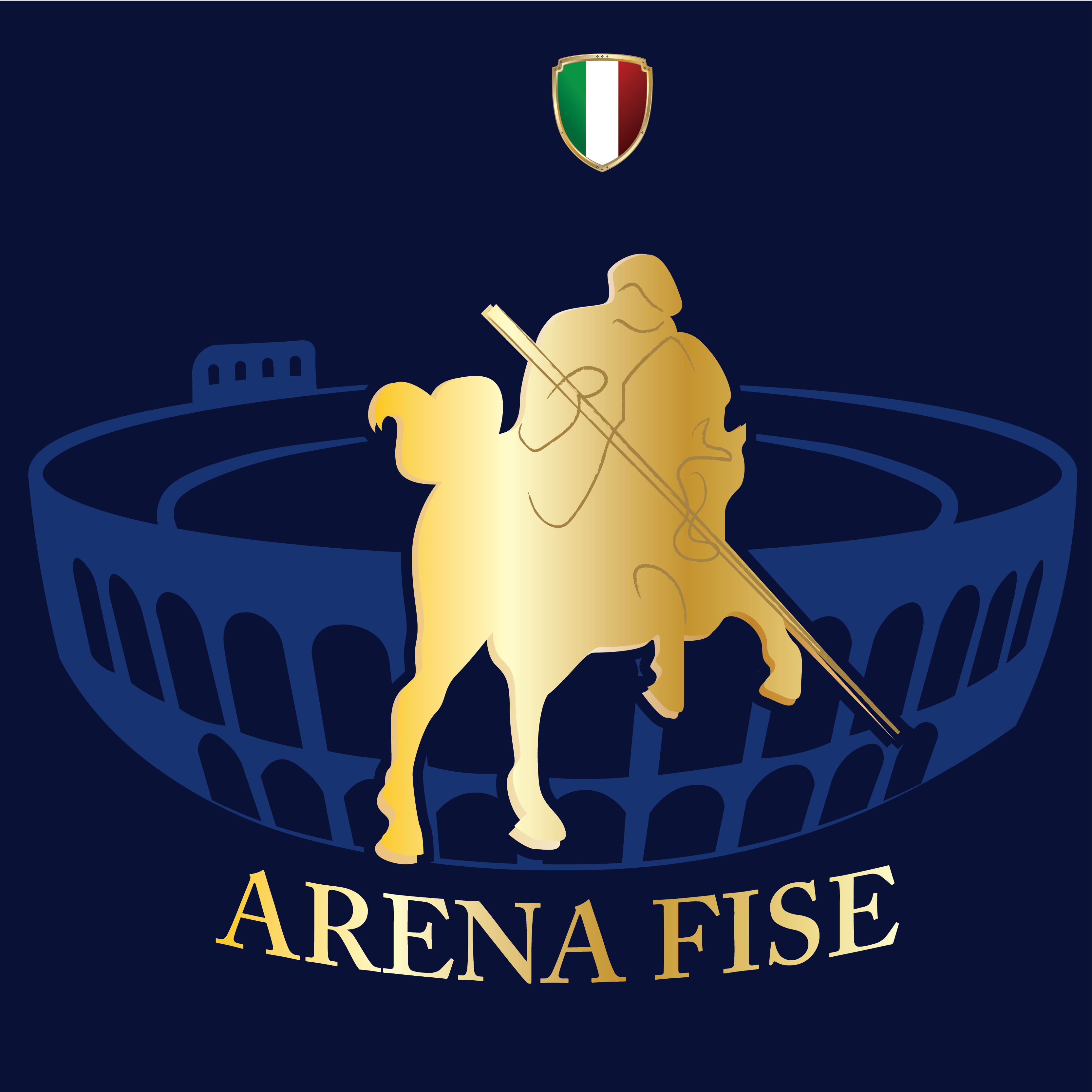 ArenaFISE 800x800 Tavola disegno 1