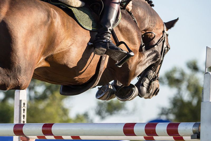 Federico Ciriesi e Gregorio Zucchini Affronti a Oslo in Coppa del Mondo. A Rabat il Team Italia nello CSIO. 