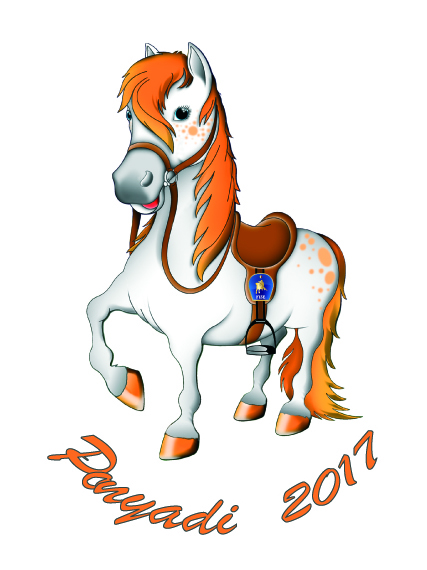 Tony il Pony Ponyadi 2017 5a 