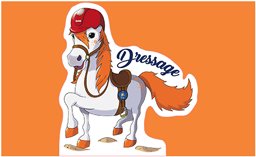 dressage