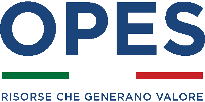 Logo OPES 2025