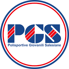 PSG logo