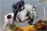 Concorso Completo cross